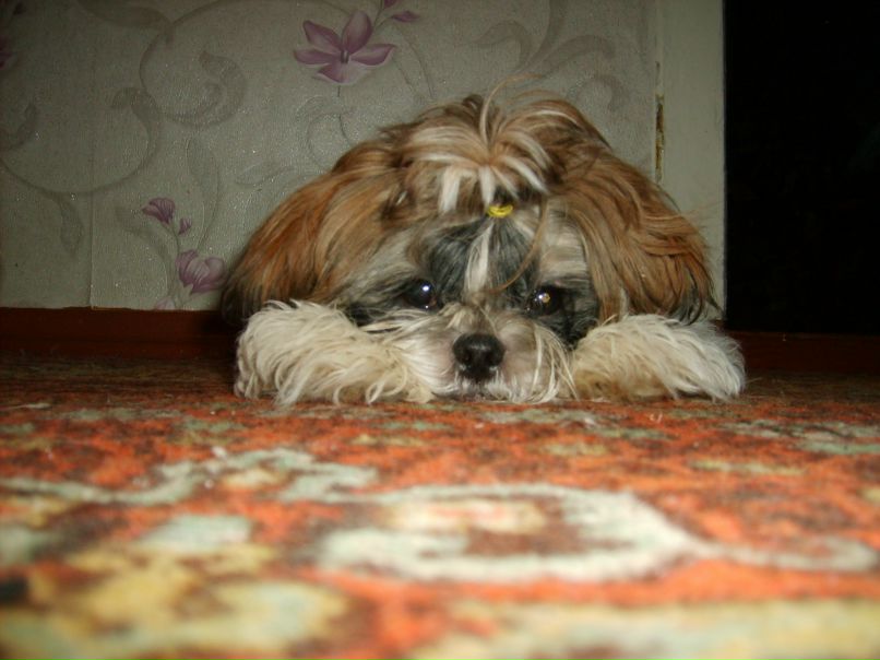 Анна Богинская | Каховка