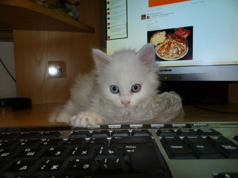 Роза Коваленкова | Наро-Фоминск