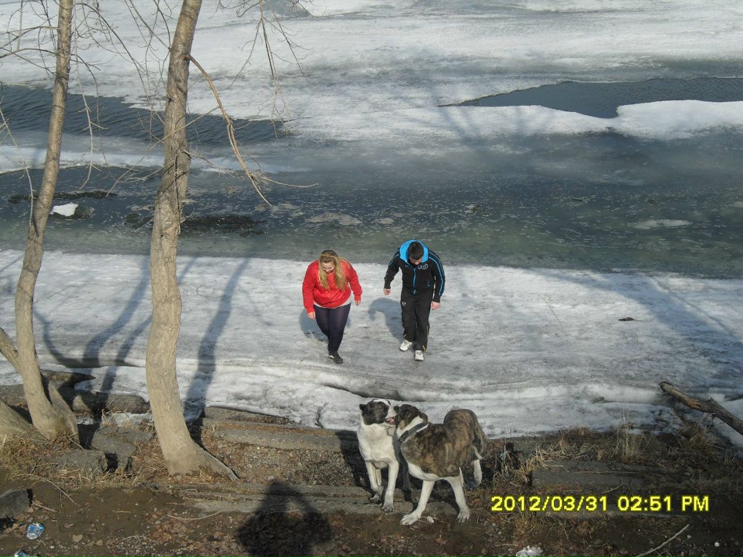 Юлия Бердник | Новокузнецк