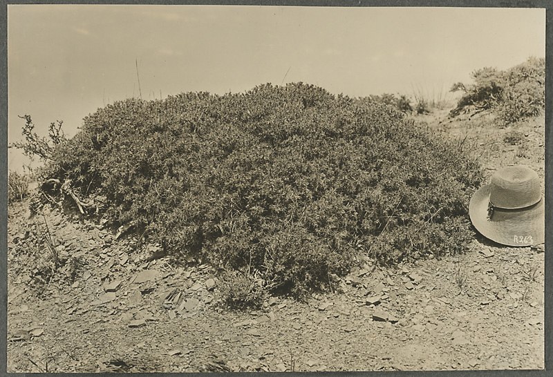 Анна Ярмош | Москва