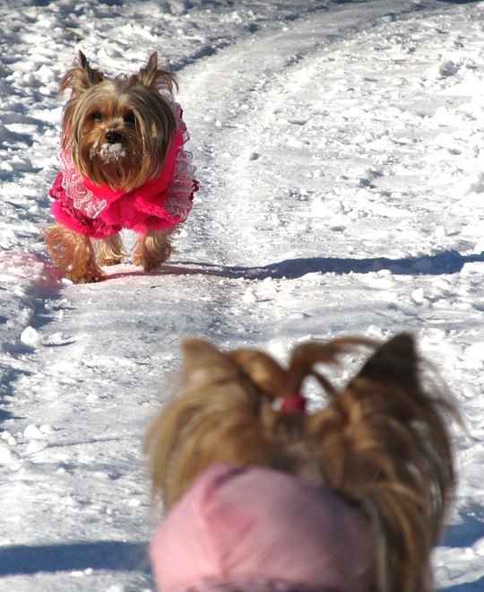 Костя Щербинский | Минск
