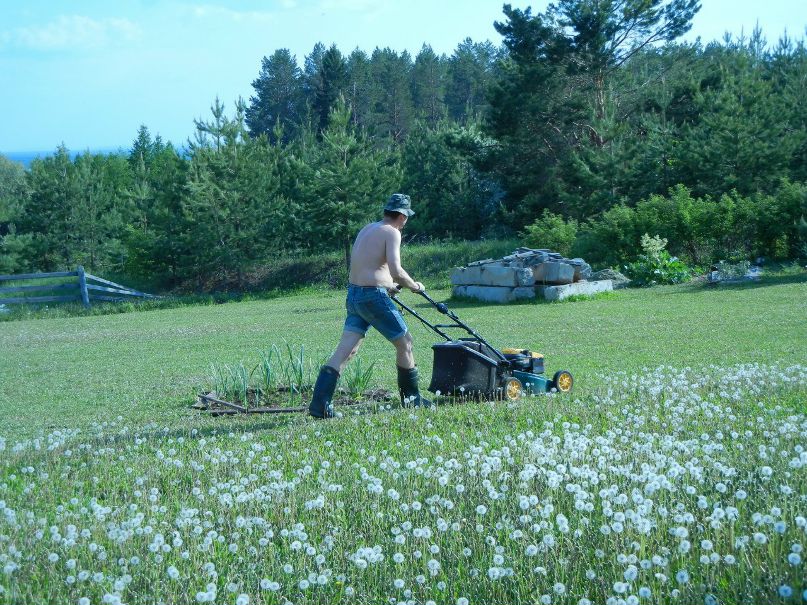 Елена Шулакова | Ижевск