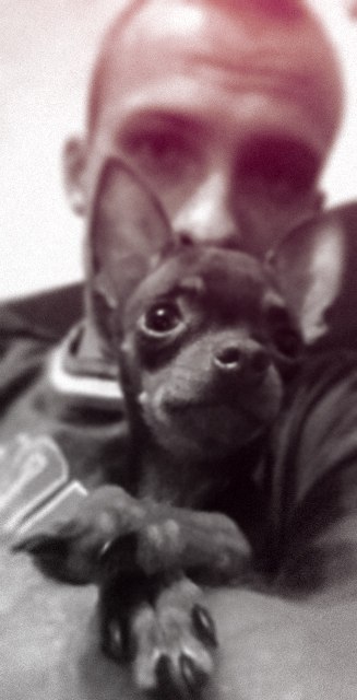 Ванька Поздняков APE | Смоленск