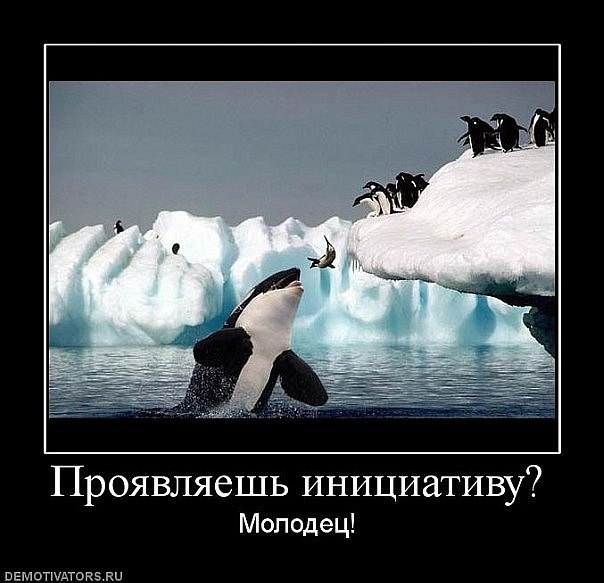 Карина Шепетунова | Киев