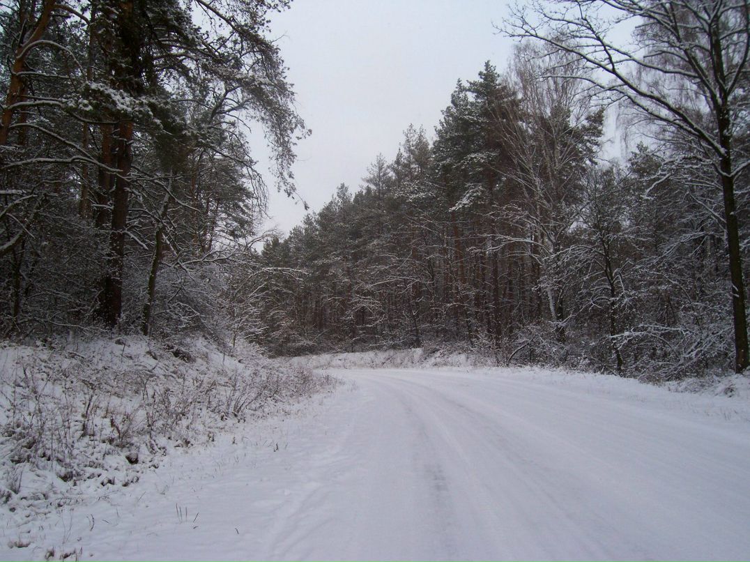 Макс Лукьяненко | Саратов
