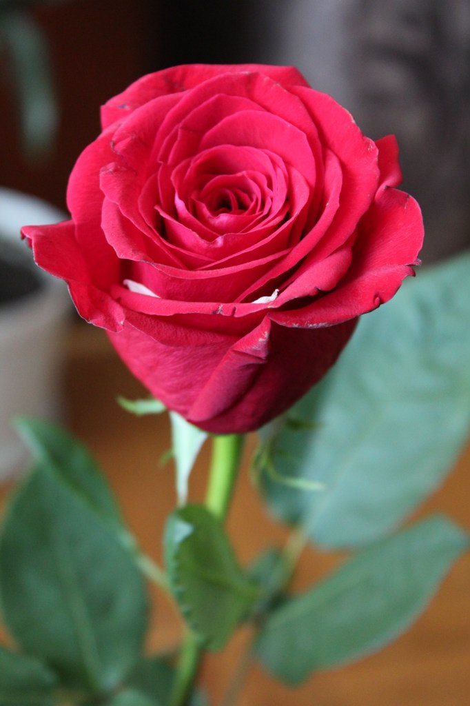 Иван Мартыненко | Минск