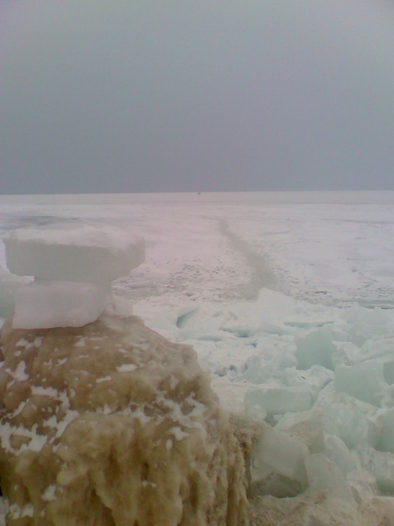 Лариса Жукдолгая | Тирасполь