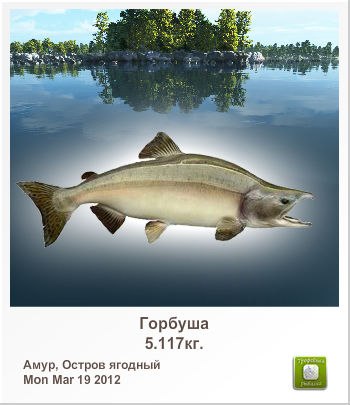 Костя Асланов H@S@N | Mogadishu