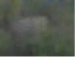 Андрей Афонасов | Людиново