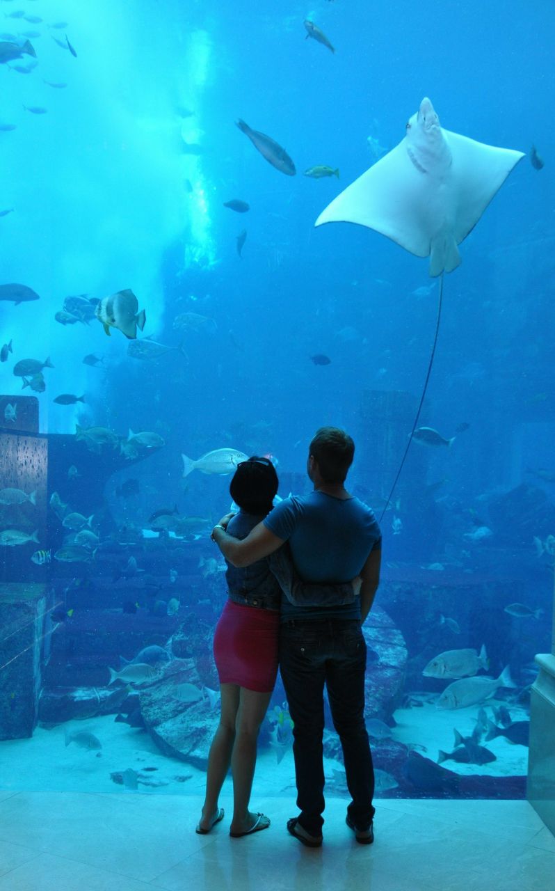 Кристина Деркач | Днепр (Днепропетровск)