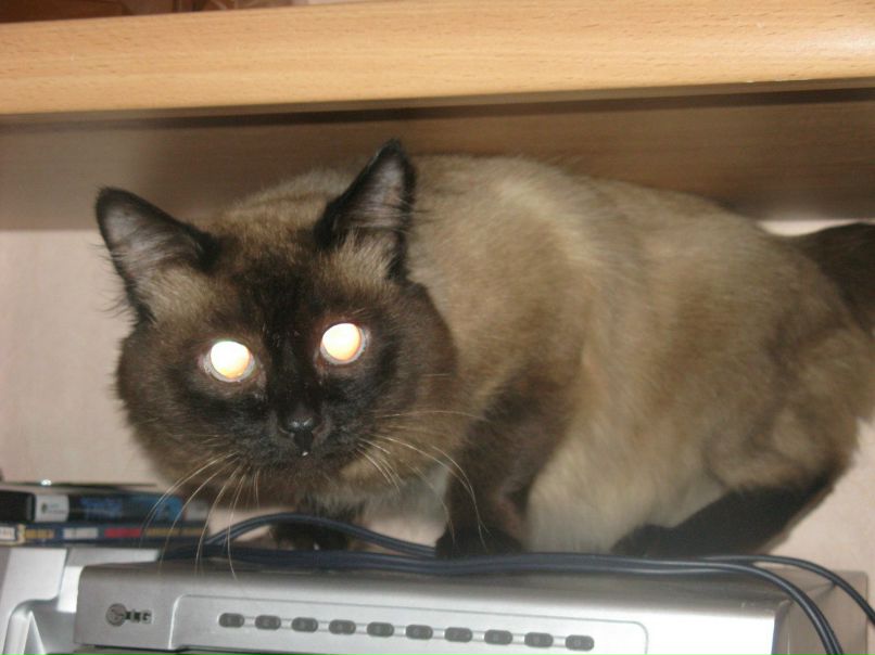 Сергей Беляев | Ижевск