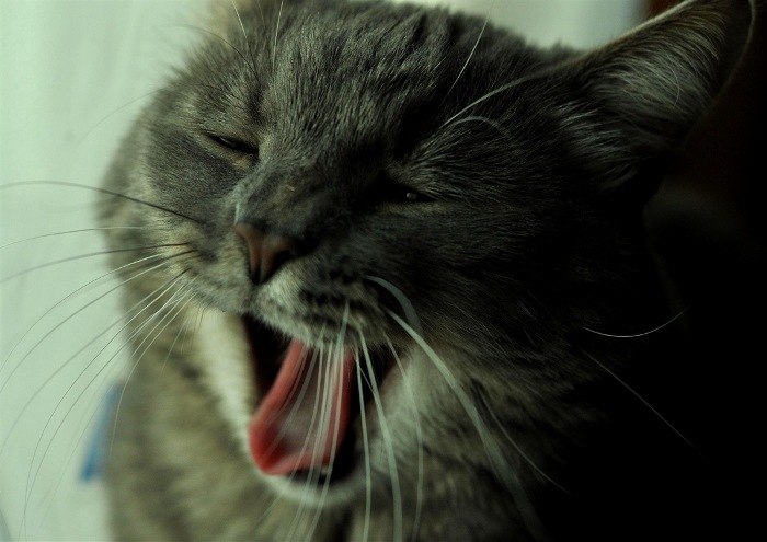 Наталья Рябинина | Санкт-Петербург