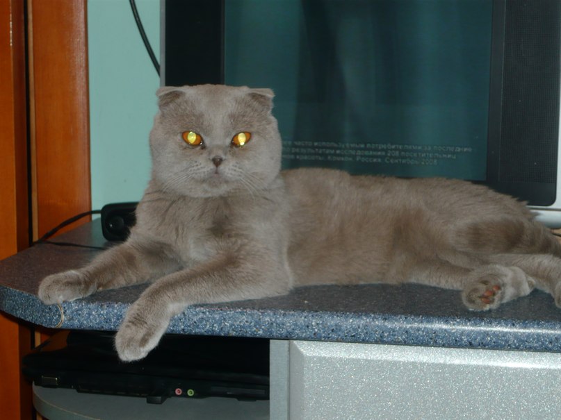 Алёна Петренкова | Самара