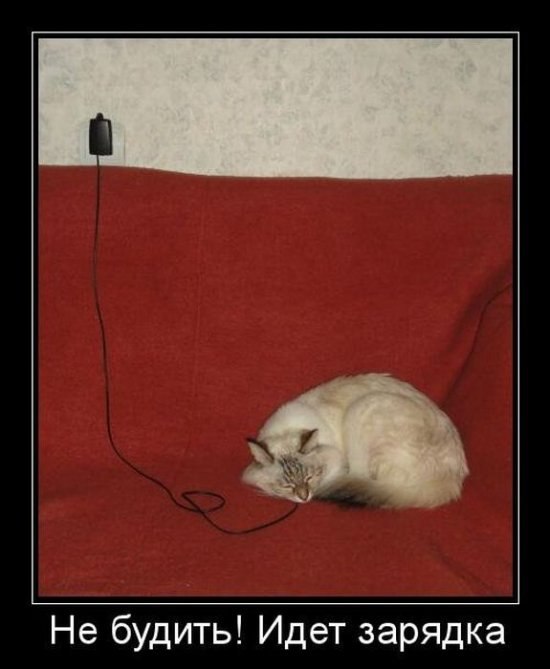 Николай Безлепкин n0nam3D | Черкассы