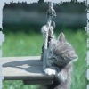 Аватар: Марсельчик Хамзин