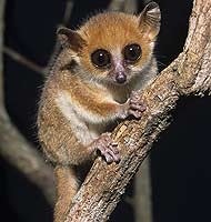 №26, Марина Сунцова, 20.12 №26, Марина Сунцова, 20.12