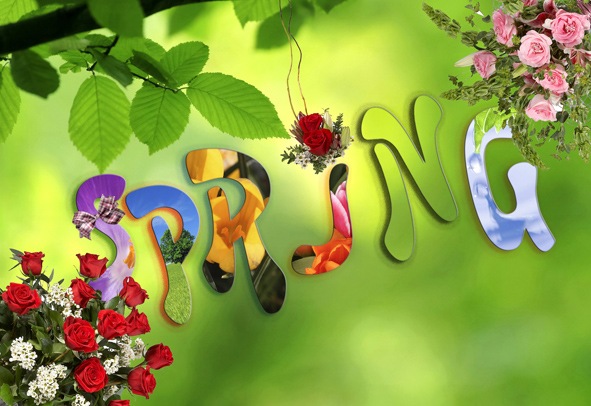 №21, Елена Борденюк, Черновцы №21, Елена Борденюк, Черновцы