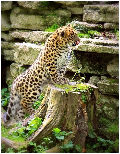 Ольга Белова | Винница