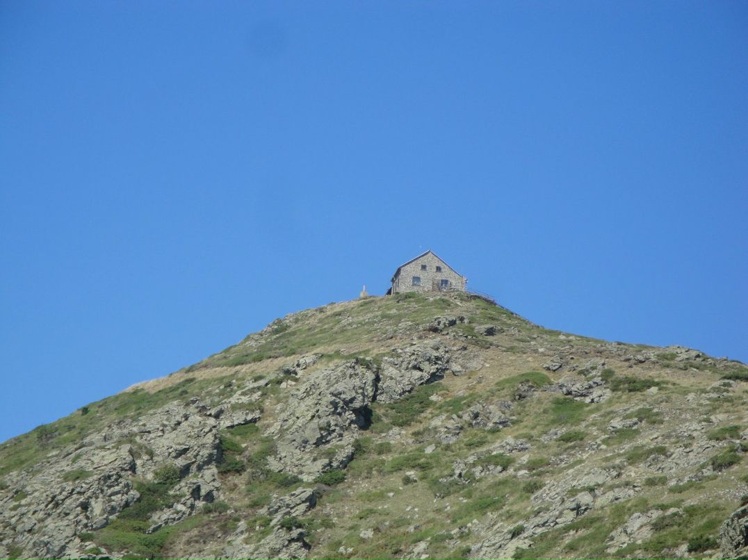 Ольга Олейник | Санкт-Петербург