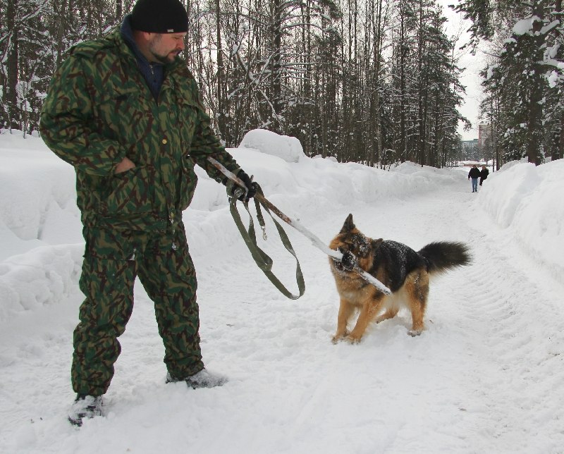 Виктор Кольцов | Санкт-Петербург