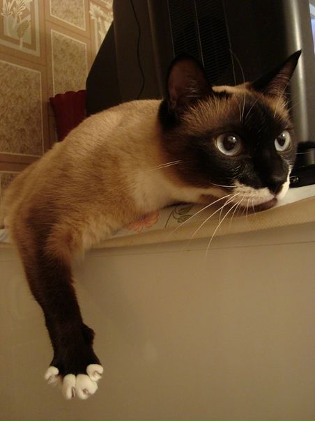 №5, Богдан Пожарский, Кропивницкий / Кировоград №5, Богдан Пожарский, Кропивницкий / Кировоград