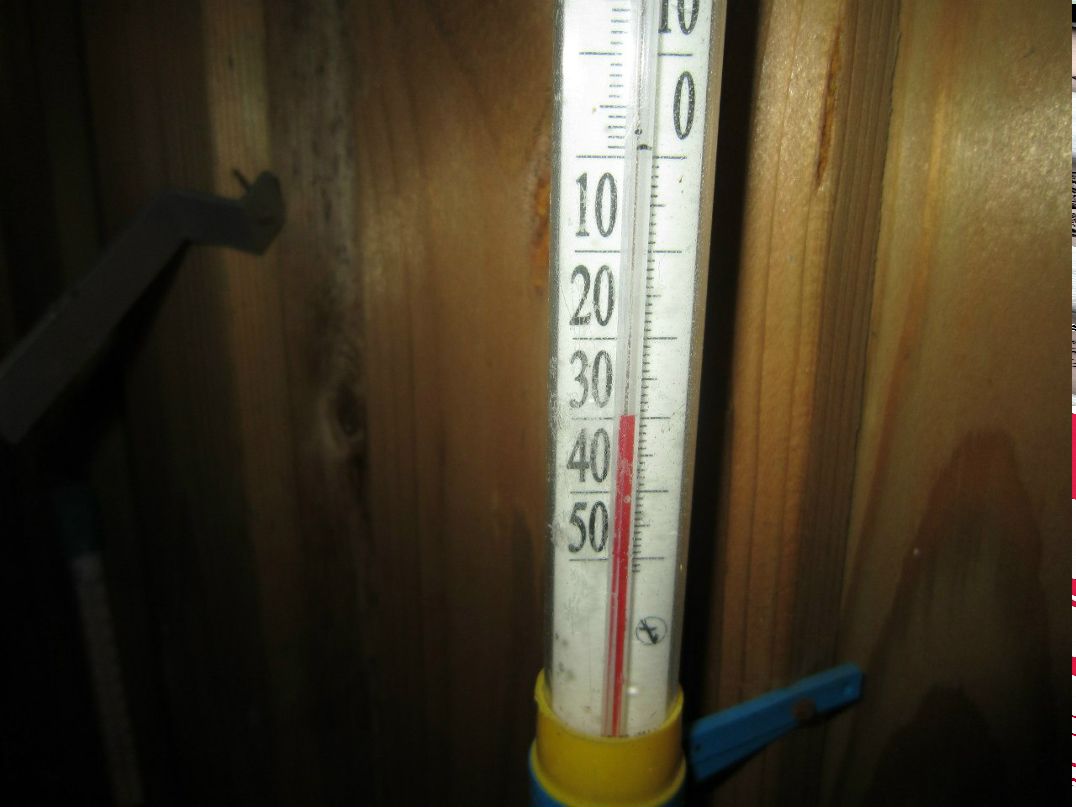 Олег Михеев | Выборг