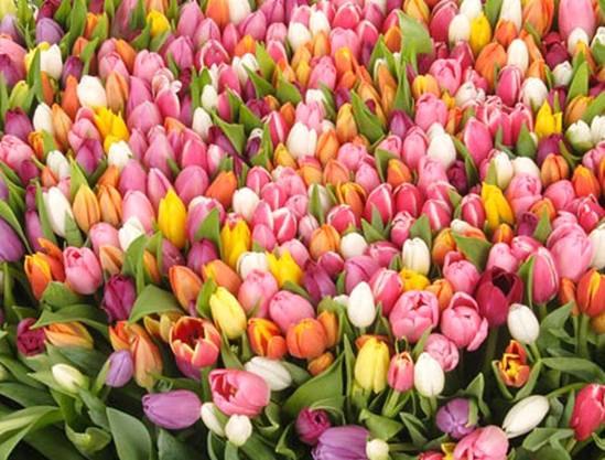 №113, Дмитрий Арепьев, 36 лет, Москва №113, Дмитрий Арепьев, 36 лет, Москва