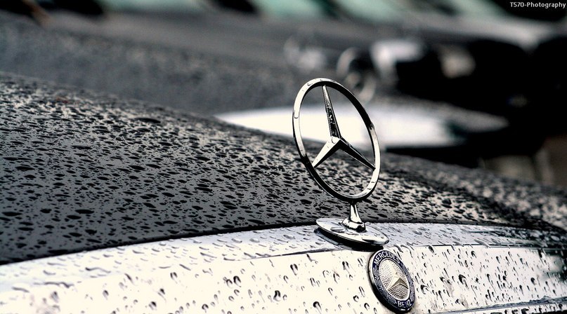 Денис Цалов Владимирович | Апатиты