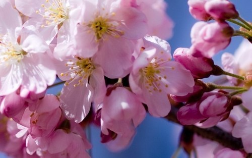 Наталья Домашонкина | Иркутск