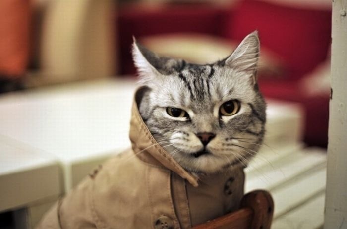 Дмитрий Никологло | Десногорск