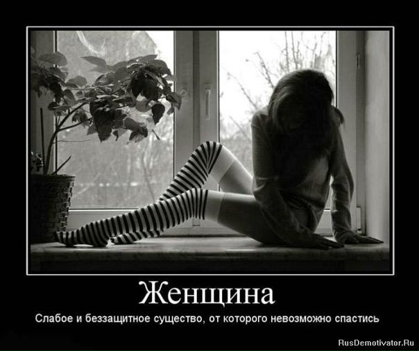 №108, Евгения Архипова, Кингисепп №108, Евгения Архипова, Кингисепп