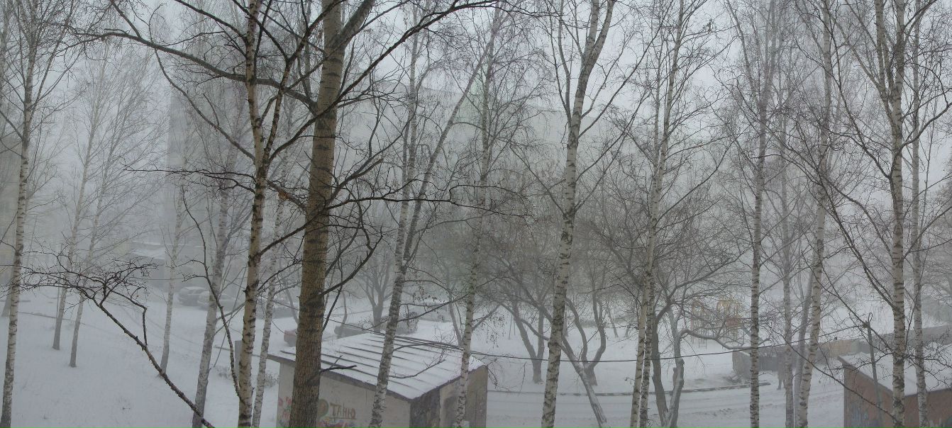 №2, Андрей Воробьев, Новосибирск №2, Андрей Воробьев, Новосибирск