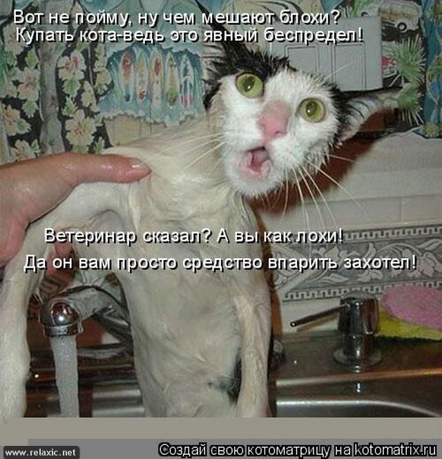 Дима Петров | Новосибирск