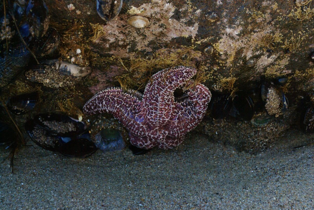 Марина Рыбалко (Немкевич) | Гомель