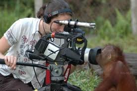 Andre Shumov | Angra do Heroísmo