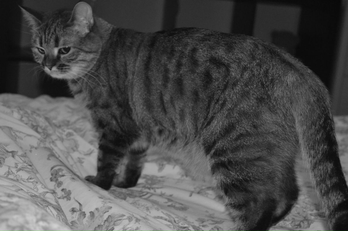 Таня Кисса тётя | Москва