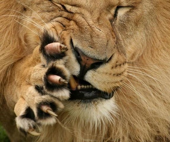 №27, Дмитрий Торос, 44 года, Геленджик №27, Дмитрий Торос, 44 года, Геленджик