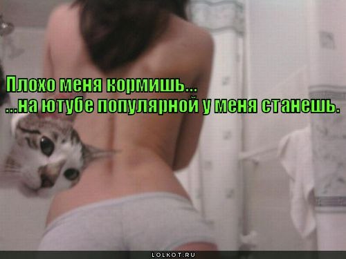 №78, Таня Горлова, 36 лет, Москва №78, Таня Горлова, 36 лет, Москва