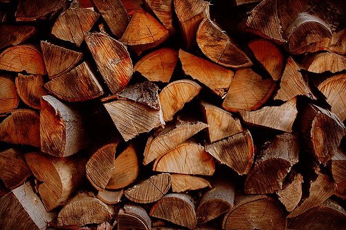 Ксения Шелюк | Bratislava