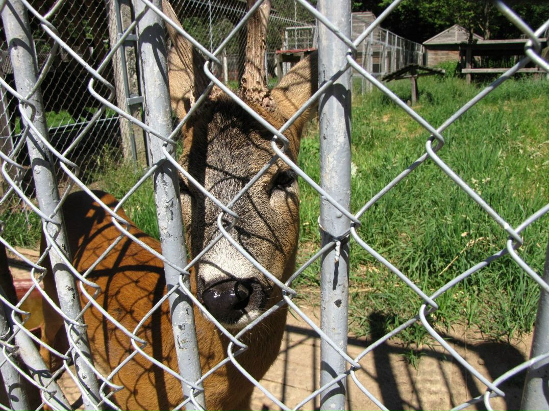 Сергей Киценко | Санкт-Петербург