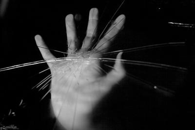 №65, Vera Lazareva, Простор №65, Vera Lazareva, Простор