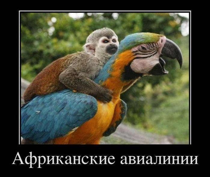 Владимир Малеев | Москва
