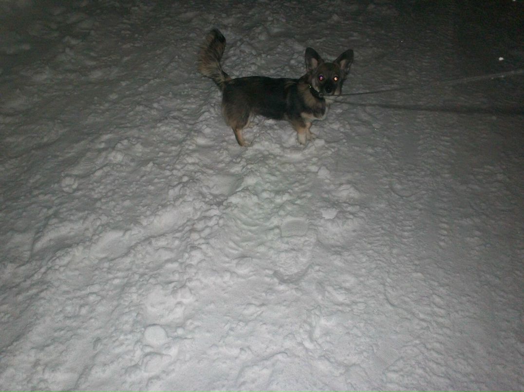 Ирина Скрыпина Сергеевна | Вуктыл