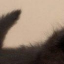 №33, Наталья Янченко №33, Наталья Янченко