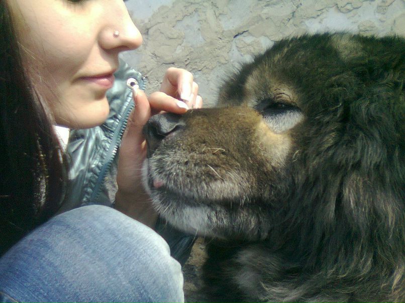 Дашенька Дашенька KISS | Ульяновск