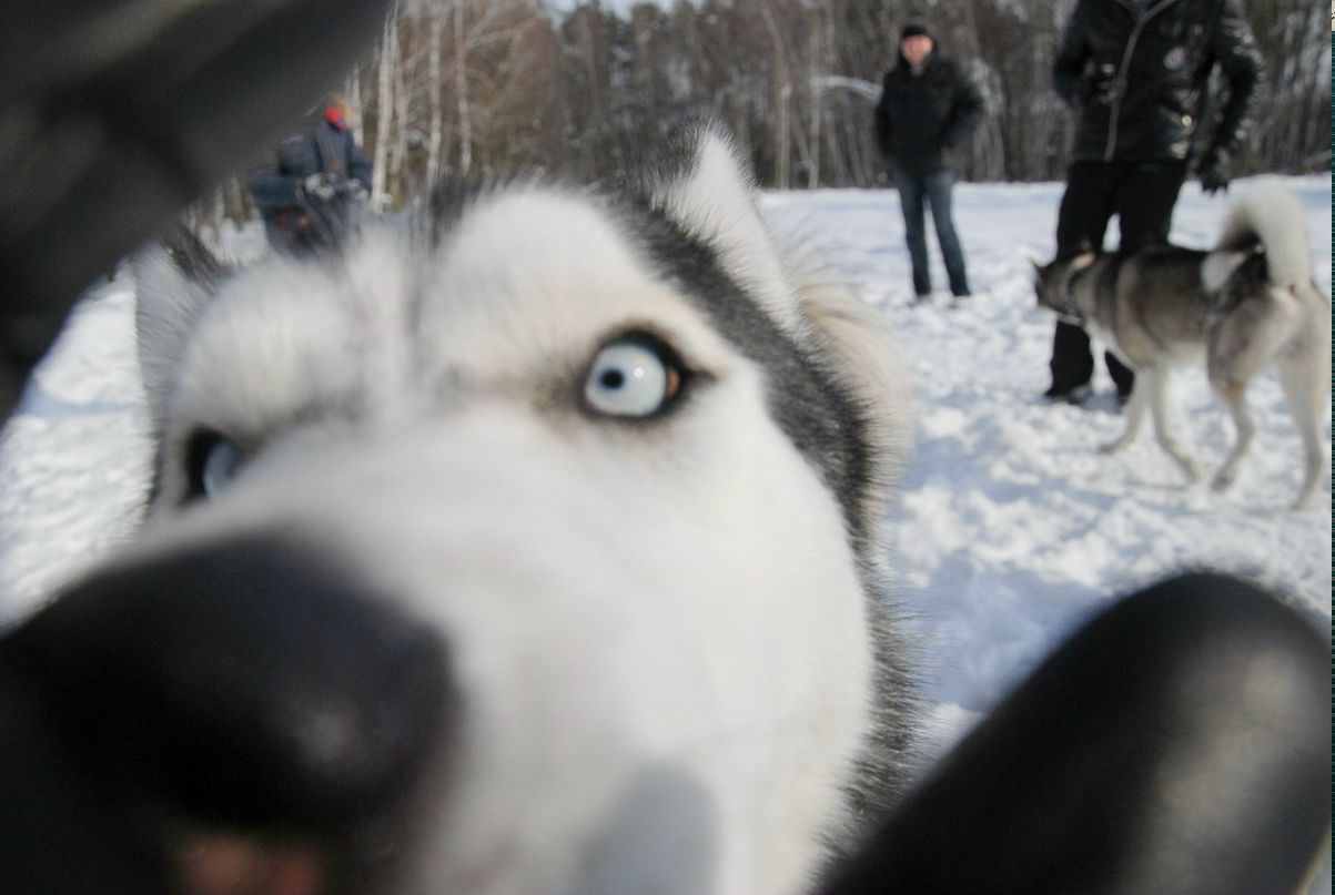 Алекс Бондарь Бошетунмай | Киев