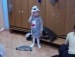 Андрей Черноок фотография #37
