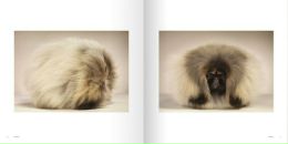 №10 Иван Нарский 01.08.1989: профиль, фото, статус - ВКонтакте