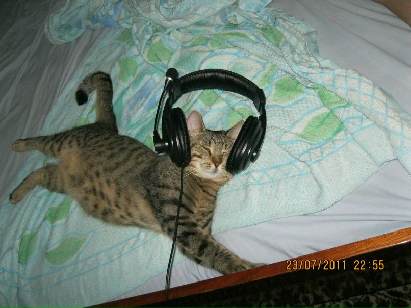 Серый Гончаренко | Сумы