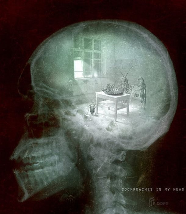 Лена Классен | Basel